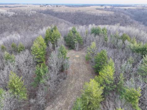 11719 Ridgeview Road Hokah MN 55941