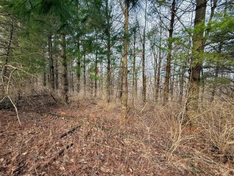 11719 Ridgeview Road Hokah MN 55941