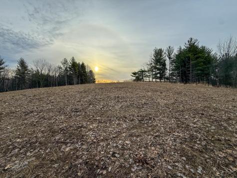 11719 Ridgeview Road Hokah MN 55941