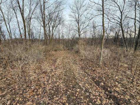 11719 Ridgeview Road Hokah MN 55941