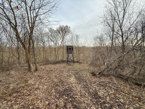 11719 Ridgeview Road Hokah MN 55941