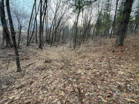 11719 Ridgeview Road Hokah MN 55941