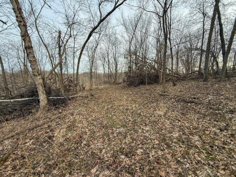 11719 Ridgeview Road Hokah MN 55941