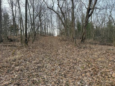 11719 Ridgeview Road Hokah MN 55941