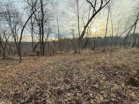 11719 Ridgeview Road Hokah MN 55941