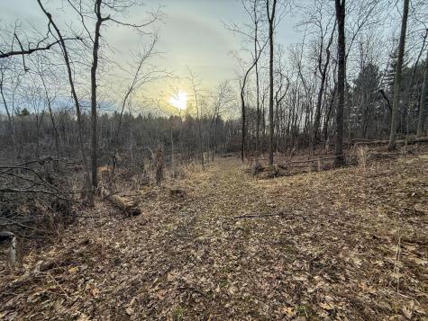 11719 Ridgeview Road Hokah MN 55941
