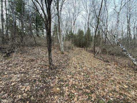 11719 Ridgeview Road Hokah MN 55941