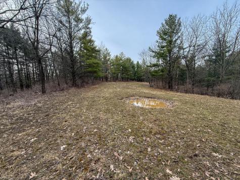 11719 Ridgeview Road Hokah MN 55941