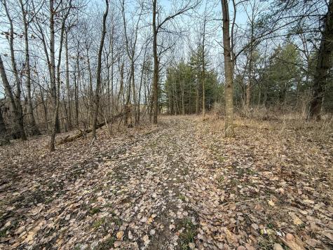 11719 Ridgeview Road Hokah MN 55941