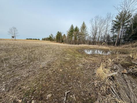 11719 Ridgeview Road Hokah MN 55941
