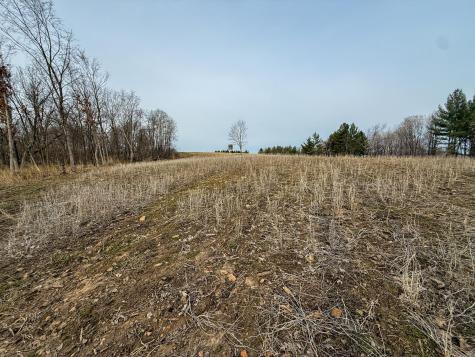 11719 Ridgeview Road Hokah MN 55941