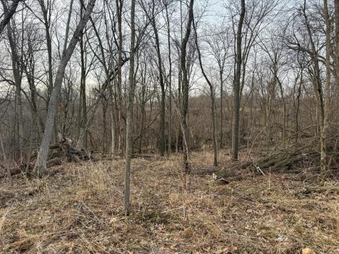 11719 Ridgeview Road Hokah MN 55941