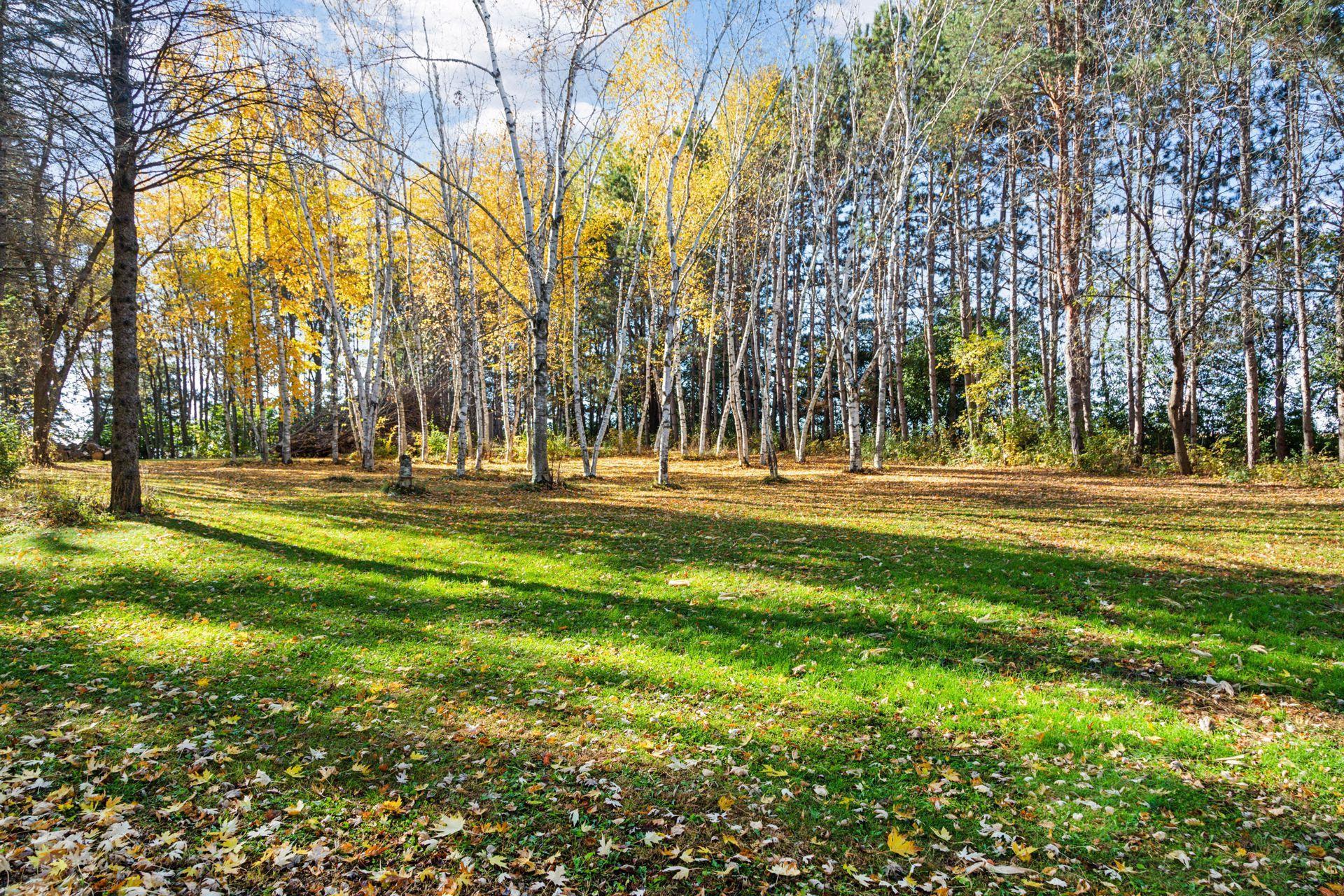 13379 50th Street S Afton MN 55001