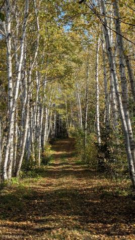 4136 W General Grade Road Finland MN 55603