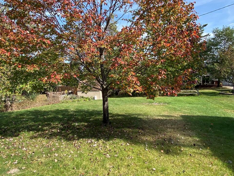 2520 Calihan Avenue NE Bemidji MN 56601