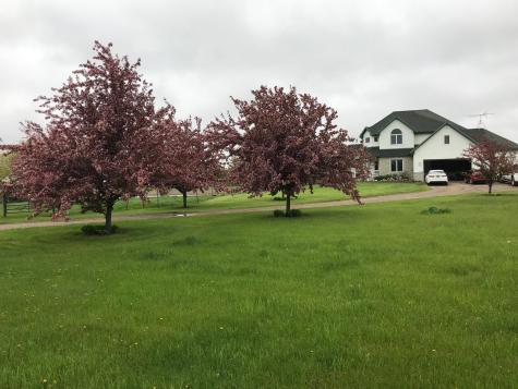 17672 County Road 14 NW Big Lake MN 55309