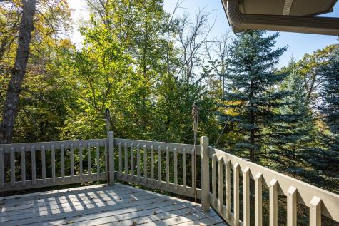 233 Basswood Trail Glenwood MN 56334