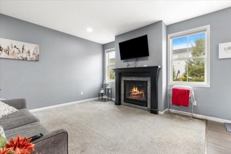 4372 Corn Silk Lane Woodbury MN 55129