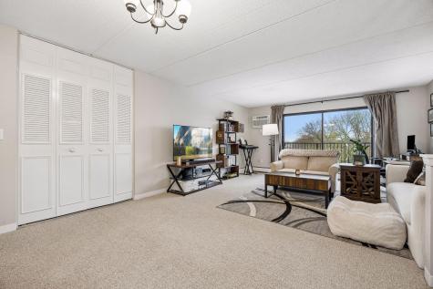 10411 Cedar Lake Road Hopkins MN 55305