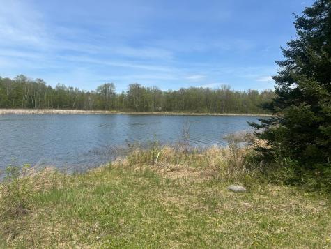 40782 Little Sugar Lake Road Cohasset MN 55721