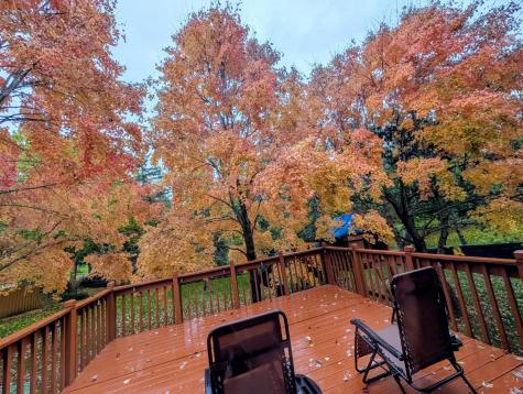 15400 Darjeeling Path Rosemount MN 55068