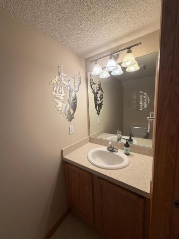 8920 Pheasant Lane Saint Bonifacius MN 55375