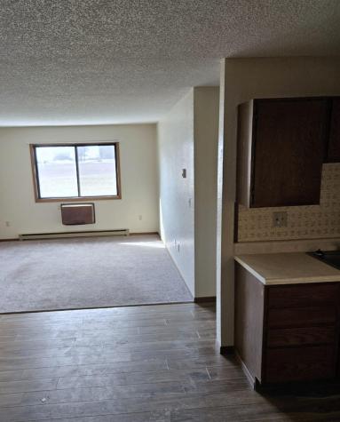 511 Carolina Avenue Hoffman MN 56339