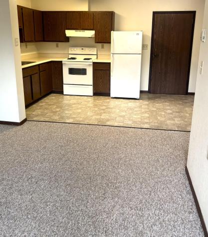 221 E Cavour Avenue Fergus Falls MN 56537