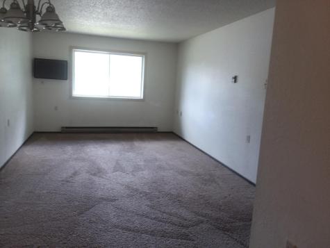207 Cedar Street NE Remer MN 56672