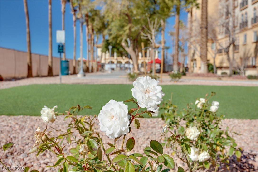 2455 West Serene Avenue 603 Las Vegas NV 89123