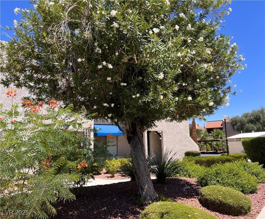 4361 Sanderling Circle 33 Las Vegas NV 89103