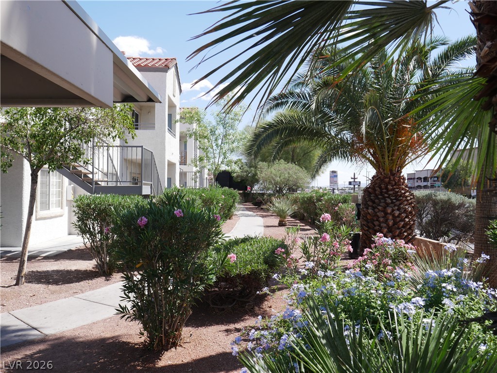 3318 North Decatur Boulevard 1030 Las Vegas NV 89130