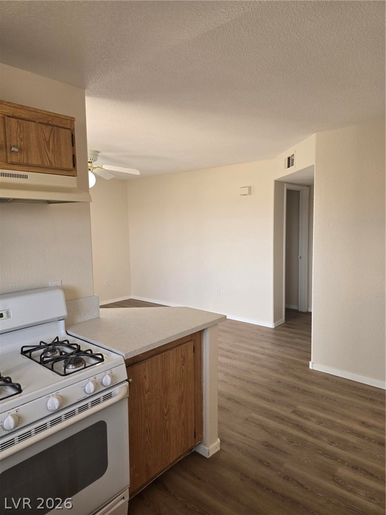 3953 Rebecca Raiter Avenue 202 Las Vegas NV 89110