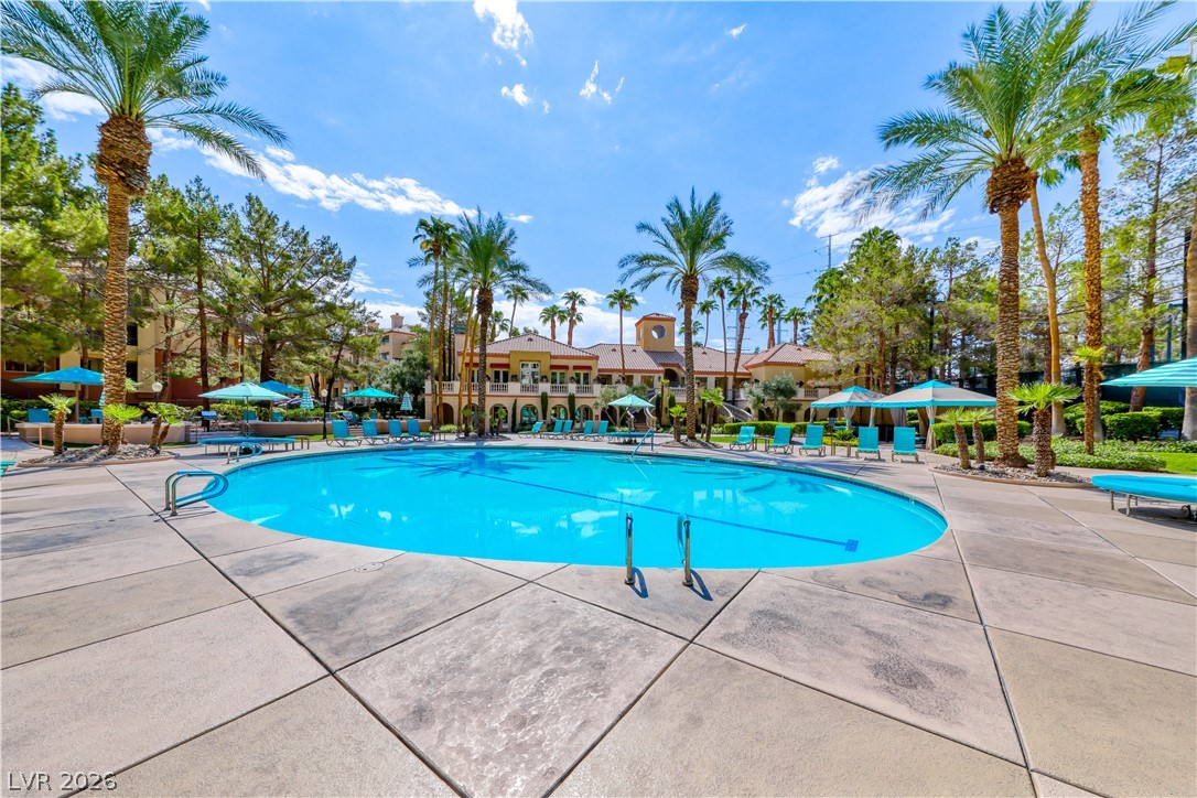 260 East Flamingo Road 304 Las Vegas NV 89169