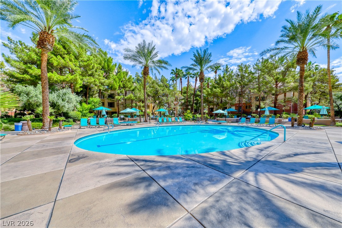 260 East Flamingo Road 304 Las Vegas NV 89169