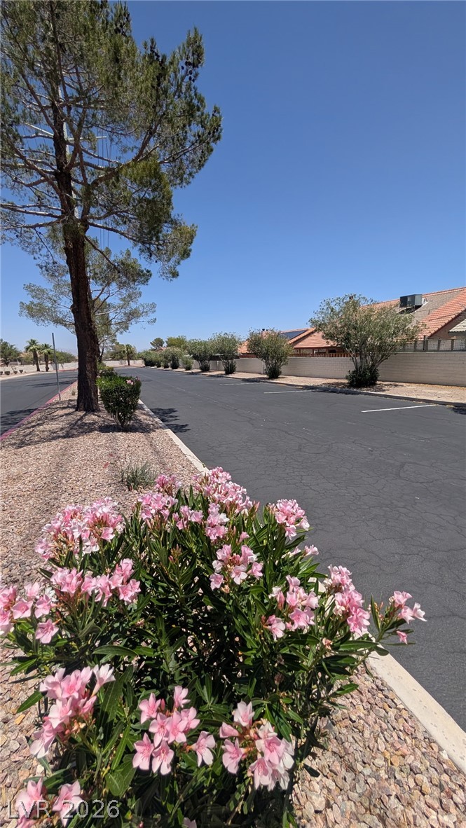 1113 Sulphur Springs Lane 202 Las Vegas NV 89128