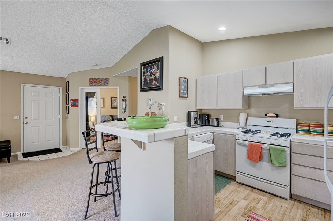 7905 Lago Vista Lane 203 Las Vegas NV 89145