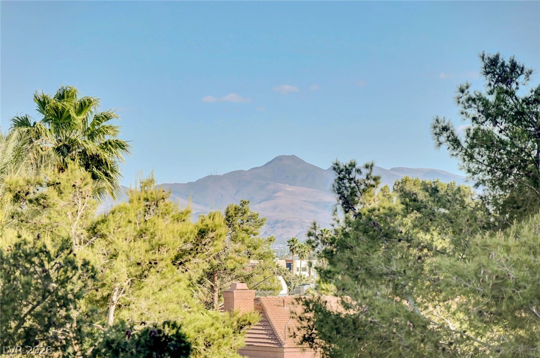 3111 Bel Air Drive 4f Las Vegas NV 89109