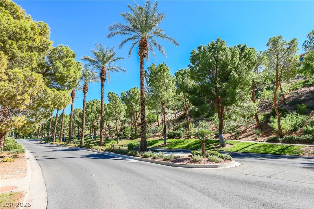 20 Via Mantova 301 Henderson NV 89011