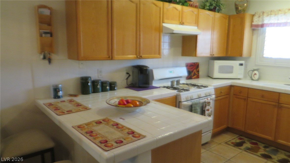 300 Pine Haven Street 203 Las Vegas NV 89144