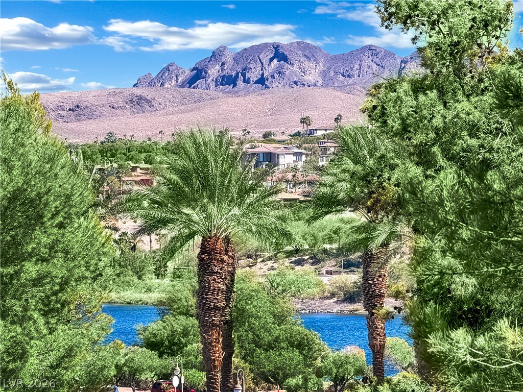 30 Luce Del Sole 1 Henderson NV 89011
