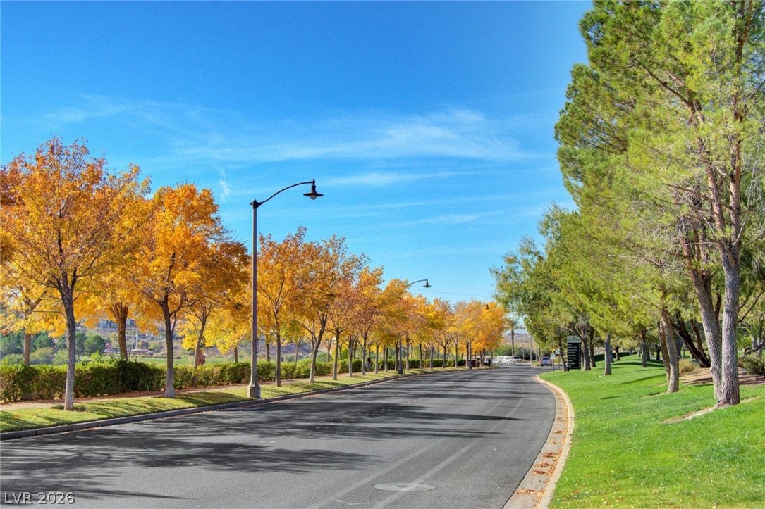 29 Montelago Boulevard 202 Henderson NV 89011