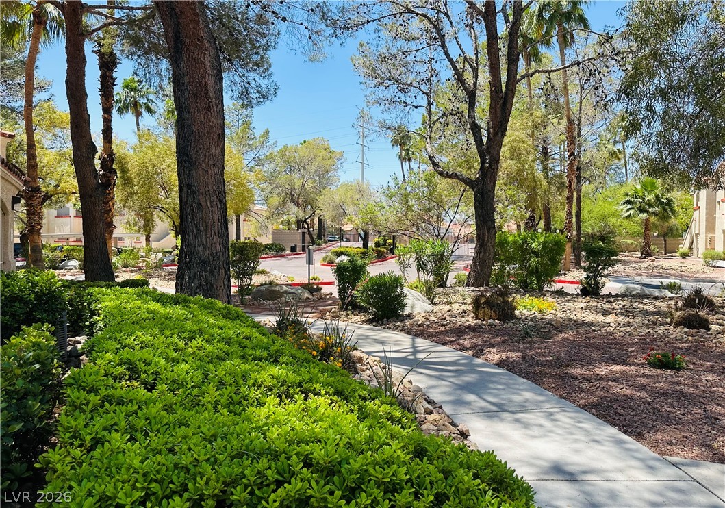 517 Indian Bluff Street 202 Las Vegas NV 89145