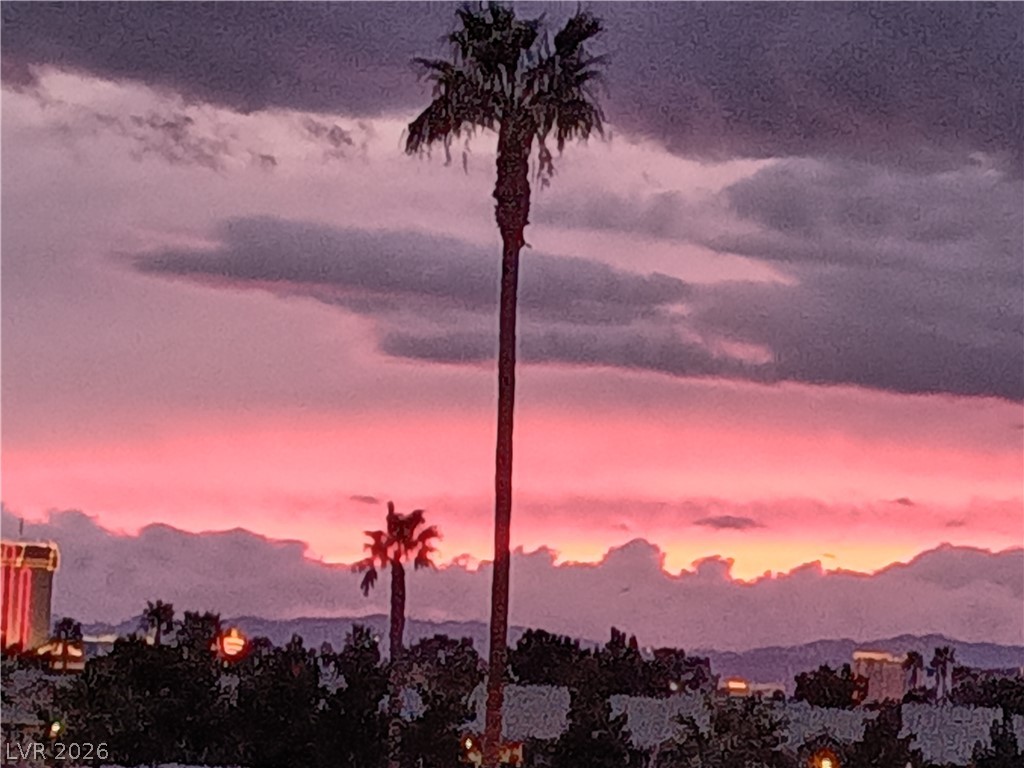 2725 South Nellis Boulevard 2074 Las Vegas NV 89121