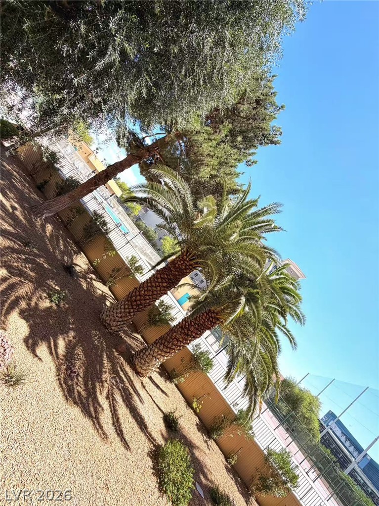 205 East Harmon Avenue 219 Las Vegas NV 89169
