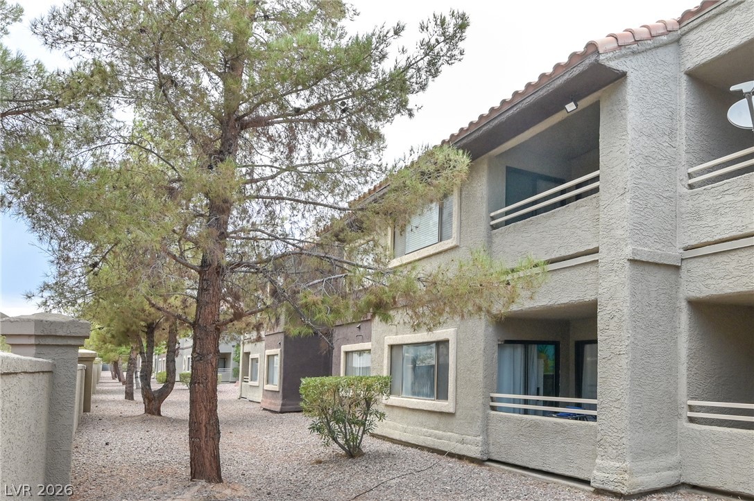 5066 South Rainbow Boulevard 205 Las Vegas NV 89118