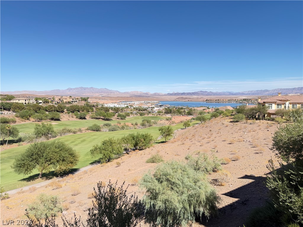 12 Via Visione 204 Henderson NV 89011