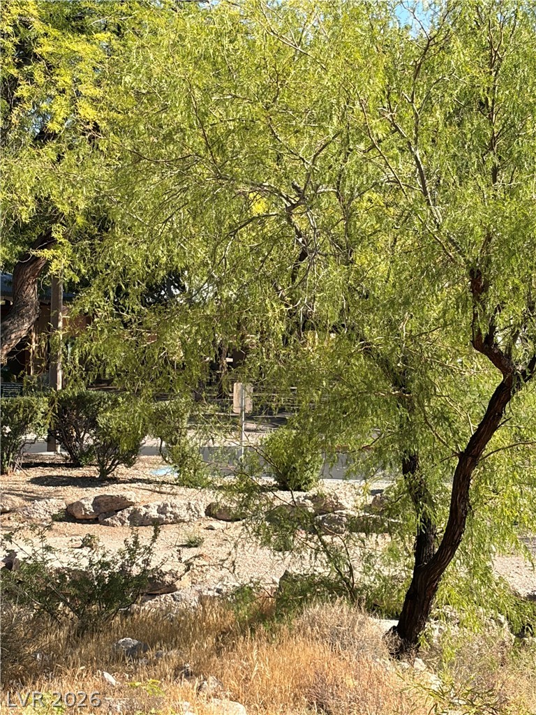 1901 Rio Canyon Court 202 Las Vegas NV 89128