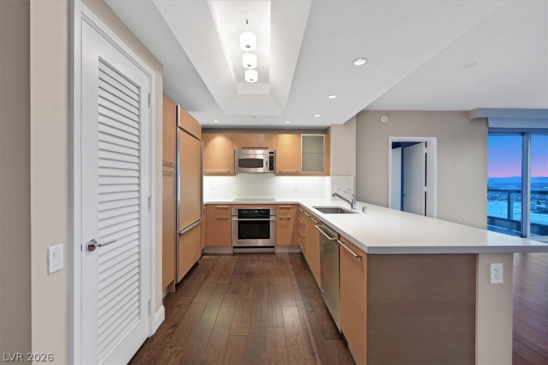 222 Karen Avenue 3802 Las Vegas NV 89109
