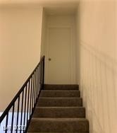 3681 Melonies Drive 31 Las Vegas NV 89103